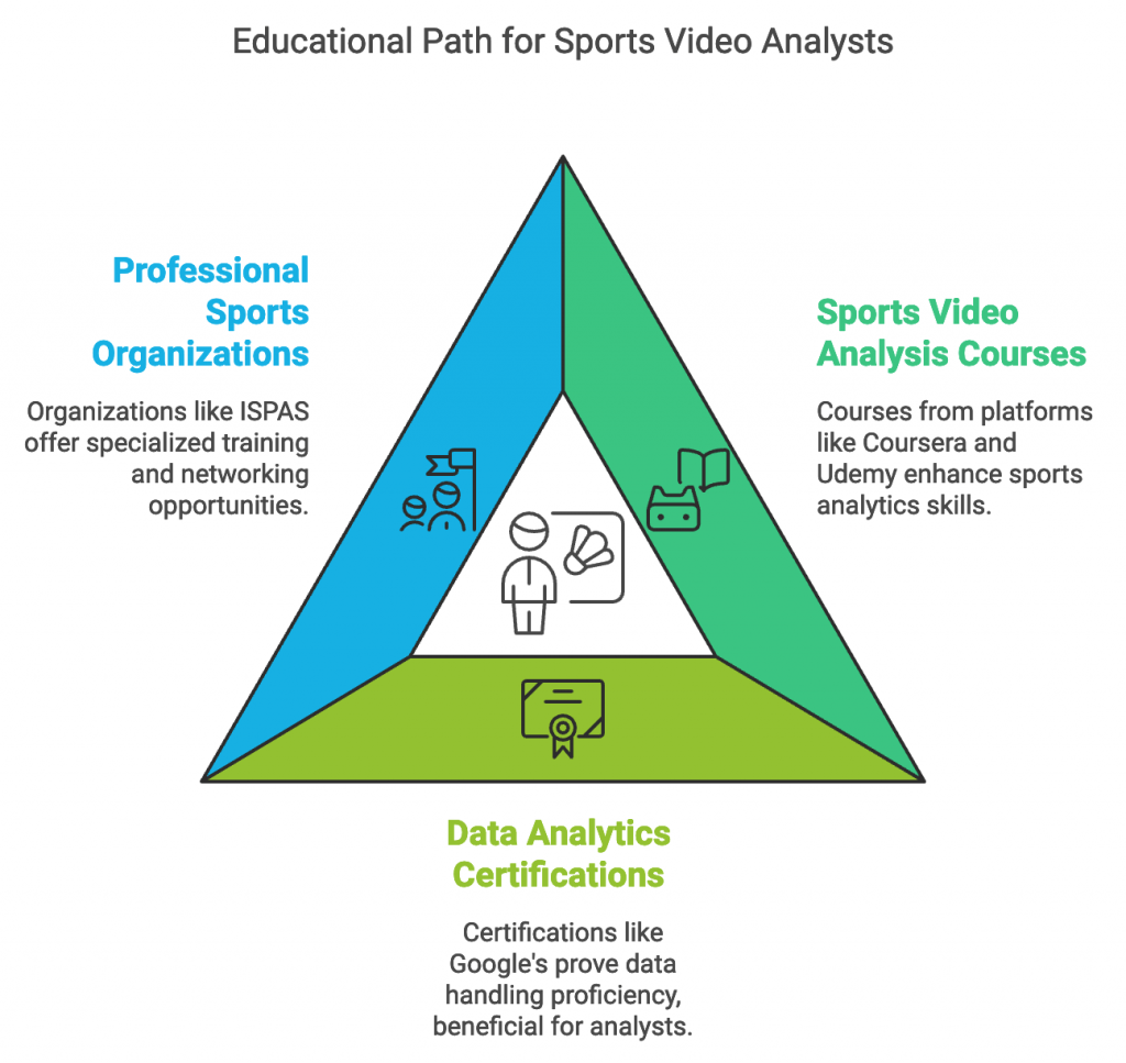 educational path for sports video analysts